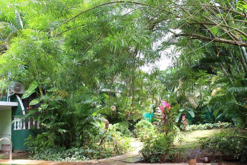 Villa Theresa Beach Resort Calangute Esterno foto